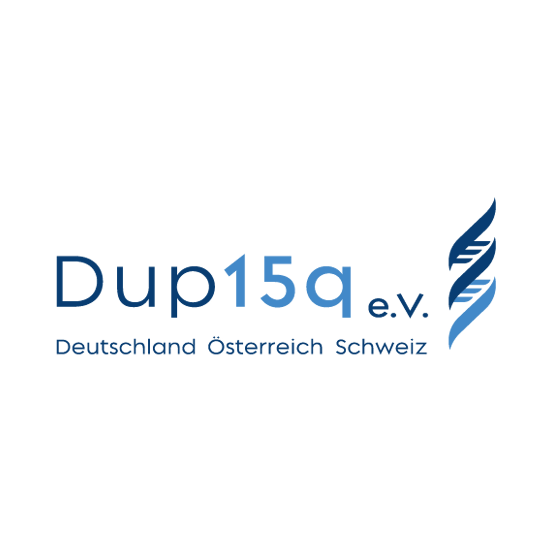 Dup15q e.V. Logo